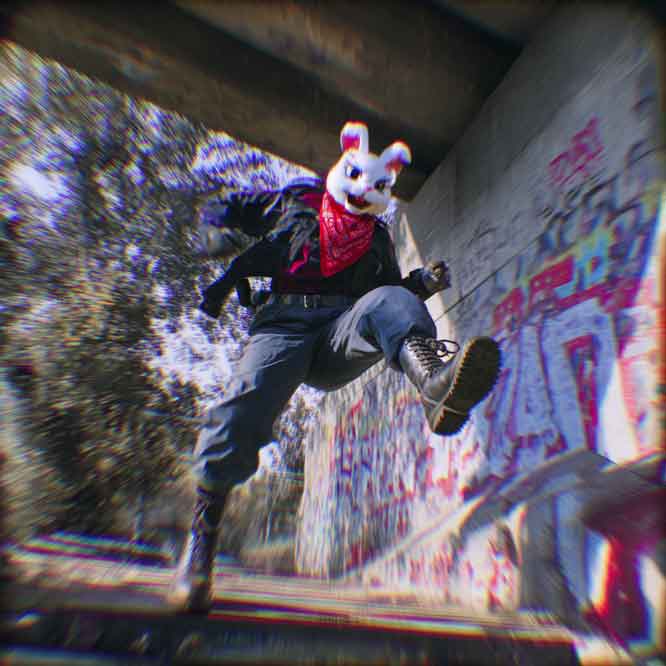 Anarchist Rabbit